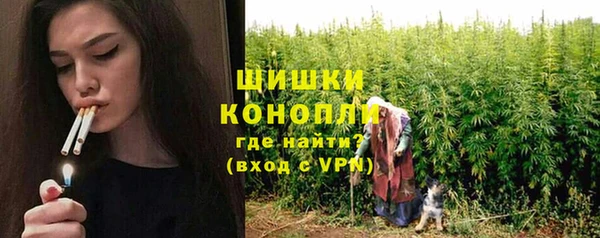 тгк Бронницы