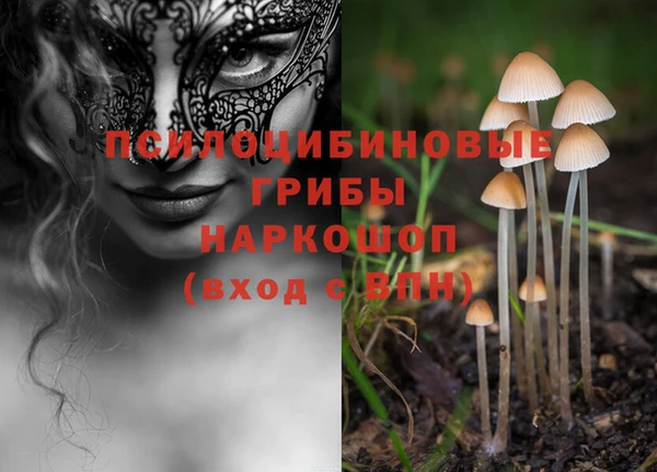 альфа пвп Бородино