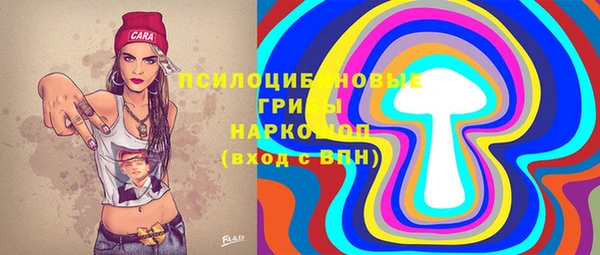 тгк Бронницы