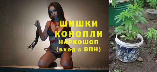 тгк Бронницы