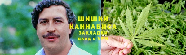 тгк Бронницы