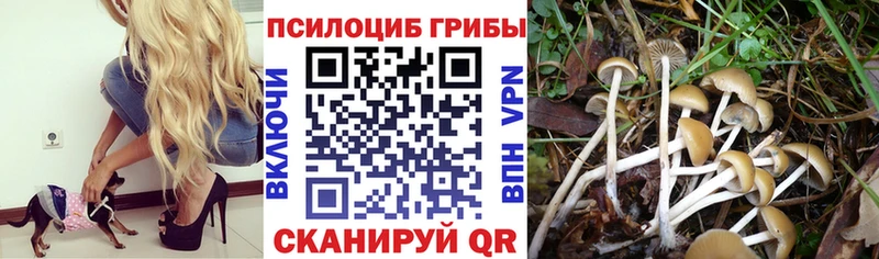 Галлюциногенные грибы MAGIC MUSHROOMS  KRAKEN сайт  Минеральные Воды 
