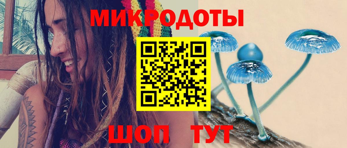 Минеральные Воды  Галлюциногенные грибы мицелий  Вход с VPN  Псилоцибиновые грибы Psilocybe 